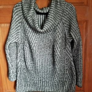 Express Cowl Neck Sweater